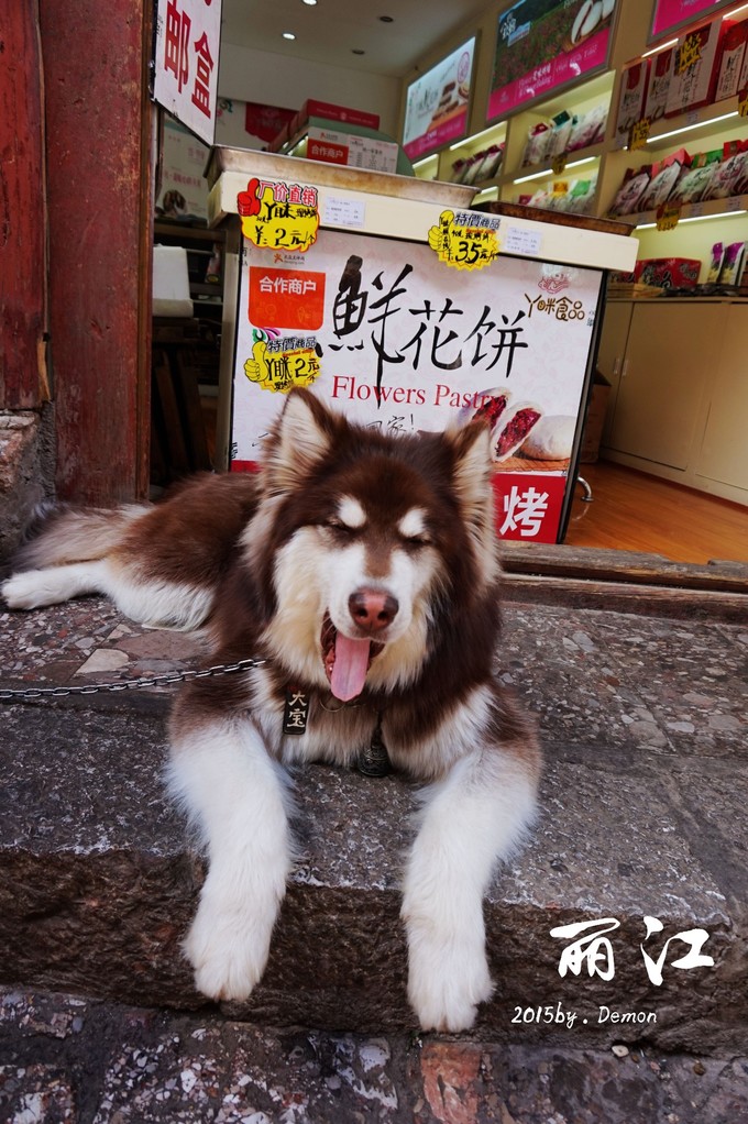 彩云以南,我们终于出发の我带着你,你带着钱!