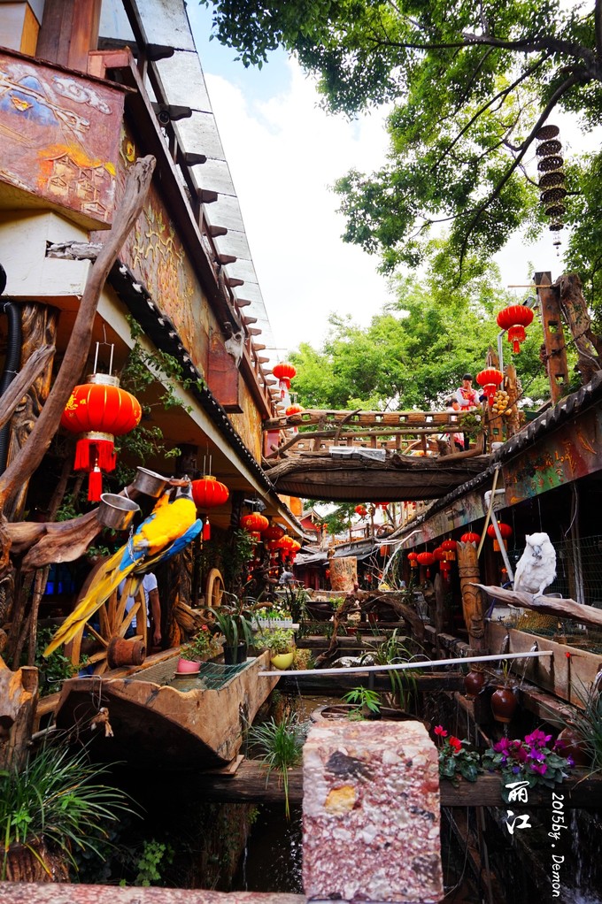 彩云以南,我们终于出发の我带着你,你带着钱!