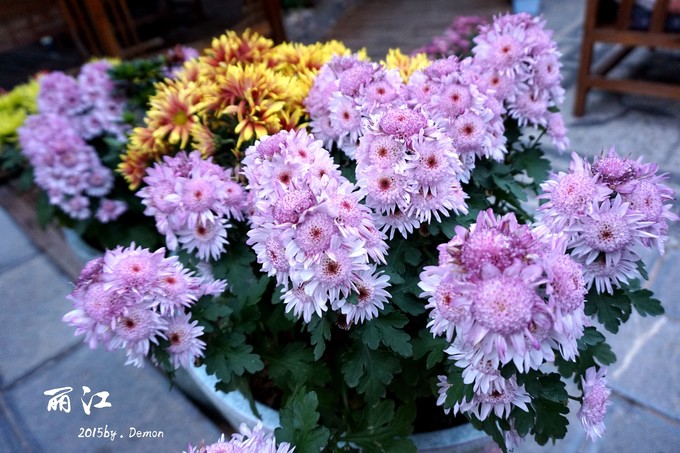 彩云以南,我们终于出发の我带着你,你带着钱!