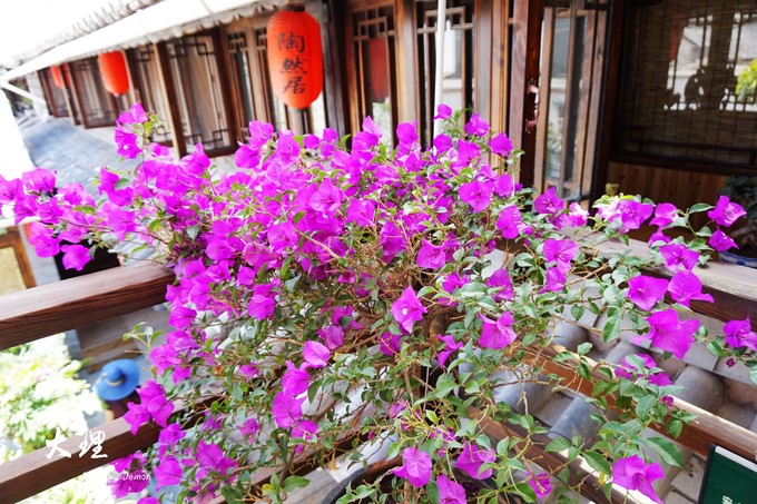 彩云以南,我们终于出发の我带着你,你带着钱!