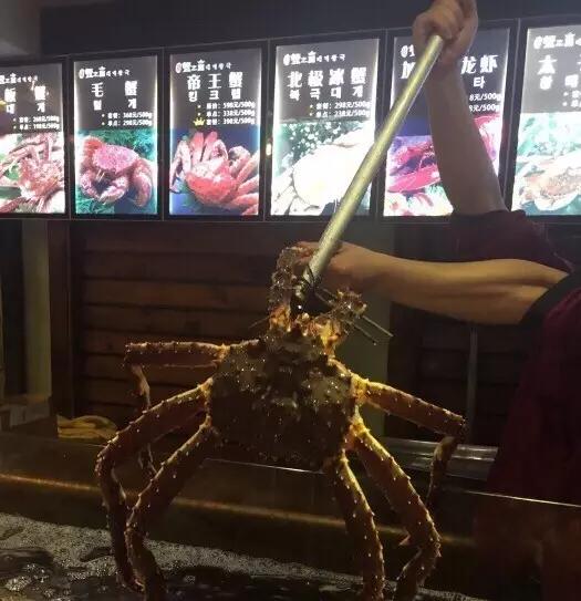 一天吃8顿算啥!回我老家青岛,带你吃上24小时!