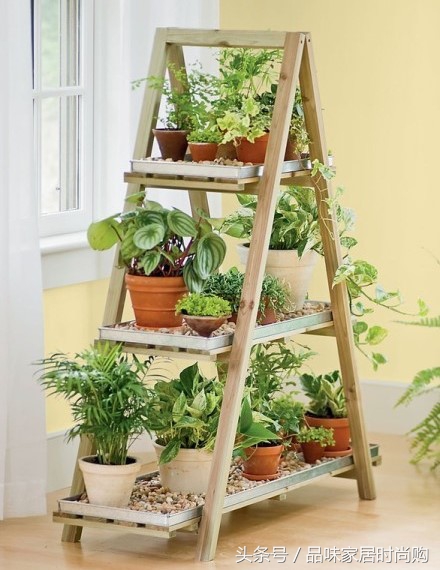 遗憾没有阳光？背阴阳台也能打造幽静绿色花园