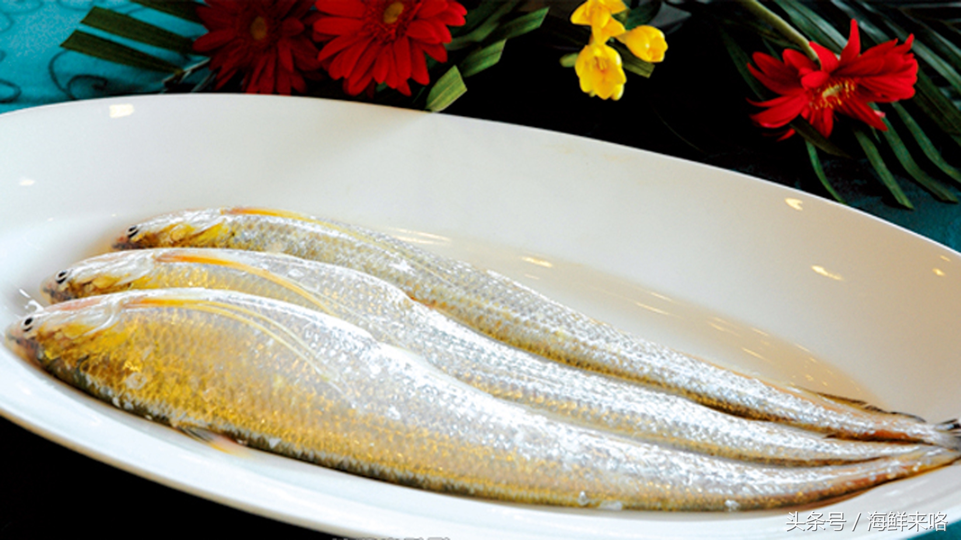 哪种海鱼吃着最简单,哪种海鱼喜欢吃肉