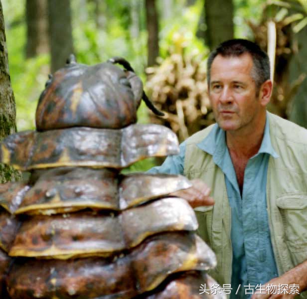 史前蜈蚣的图片加介绍,史前蜈蚣体长可达3米