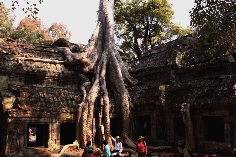 孤独星球最佳旅游地区,孤独星球最佳旅游地