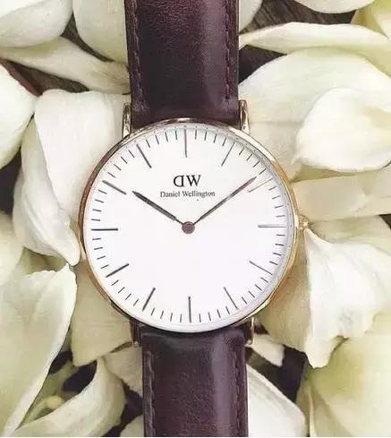 dw手表哪款最火爆,dw一哥