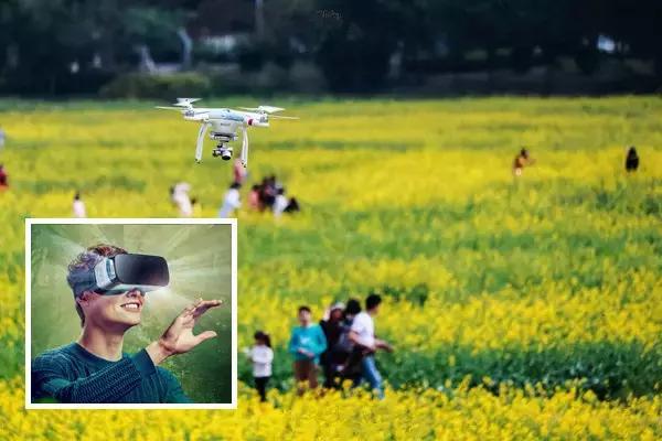 用VR看花海是种怎样的体验?这周就去免费看~