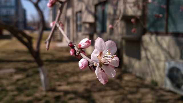 699元红米手机推荐,2900元左右续航好的手机