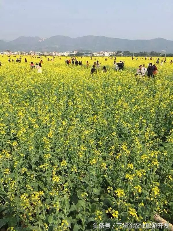 十里春风不如相约下洋涂,宁波不得不去的旅游胜地