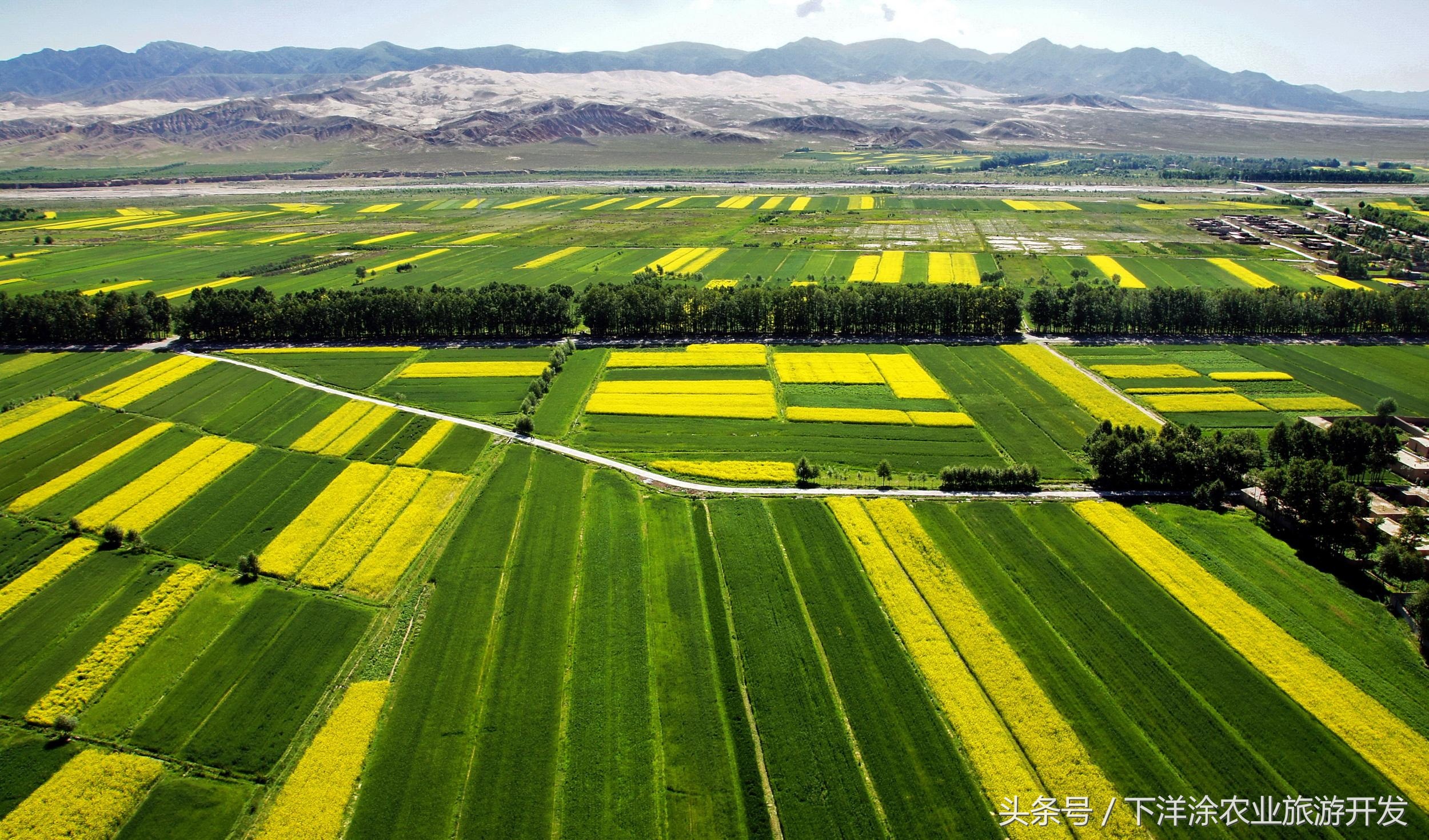 十里春风不如相约下洋涂,宁波不得不去的旅游胜地