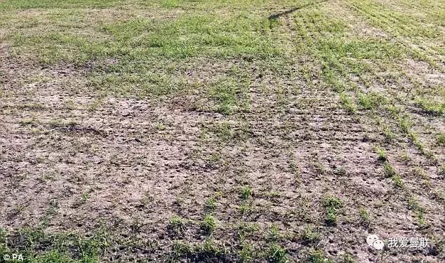 曼联飞3012千米后发现：又遇上“鸟巢“球场！穆帅发布会怒了