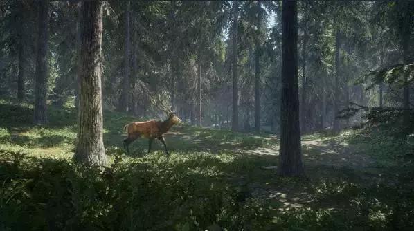 幽灵行动荒野单机好玩吗,幽灵行动荒野篇