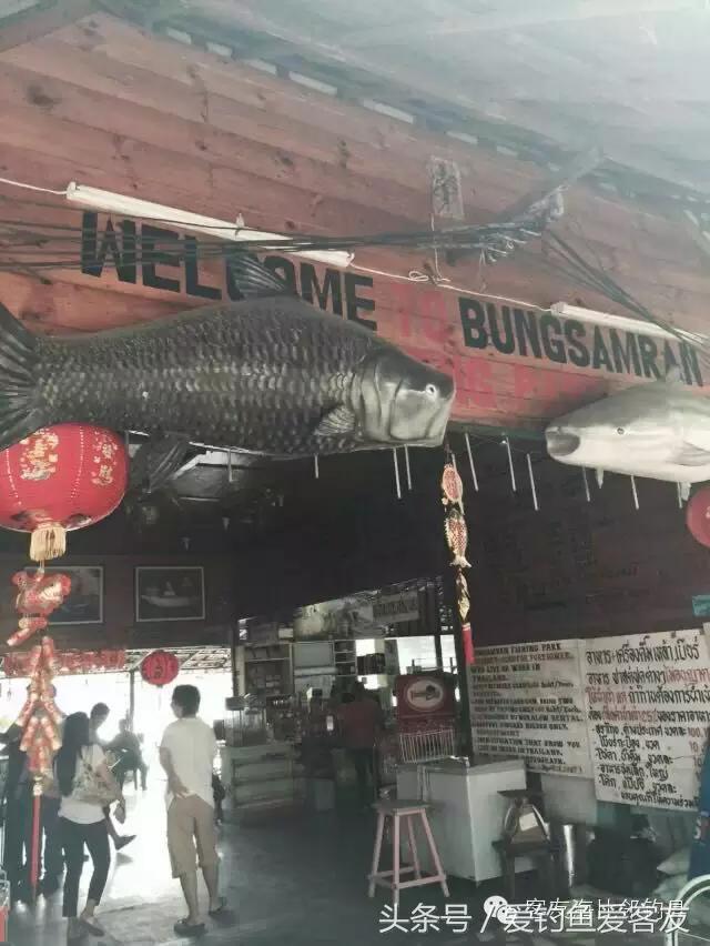 泰国巨骨舌鱼钓场位置,泰国钓鱼钓巨物位置