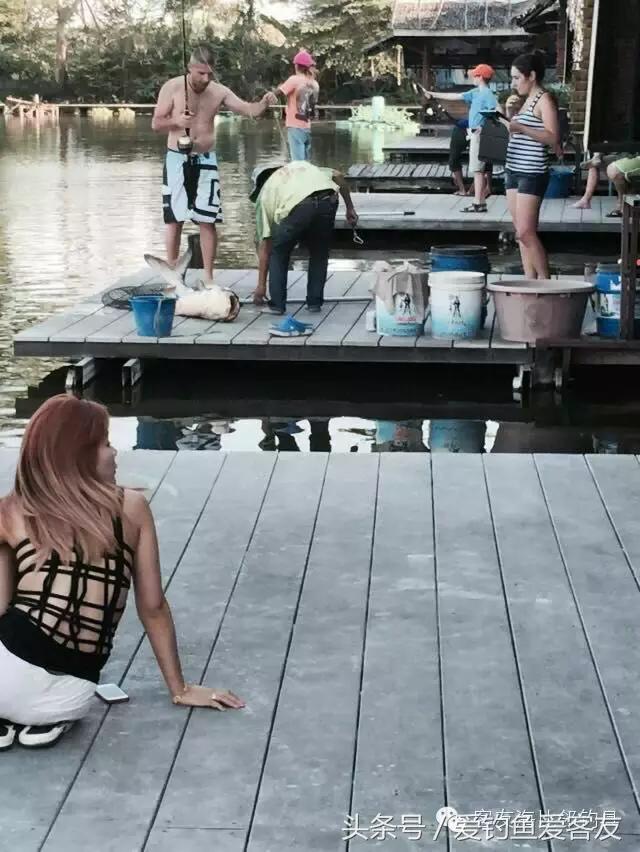 泰国巨骨舌鱼钓场位置,泰国钓鱼钓巨物位置