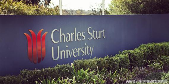 同样去澳洲学热门专业我是如何比别人少花15万的?高额奖学金