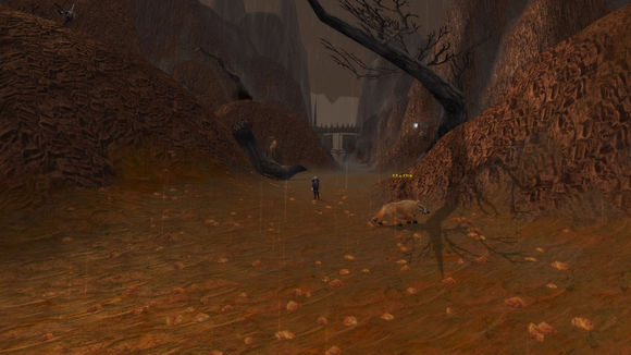 wow地图高清版大图,如何看wow玩过的地图