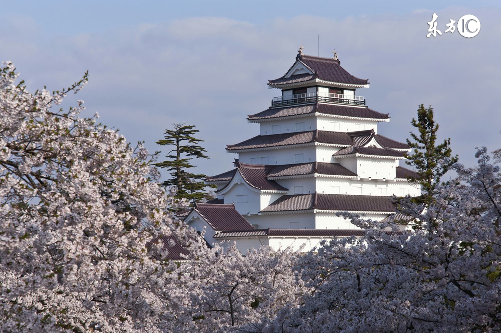 出门在外的一些细节行为,日本旅游真实细节