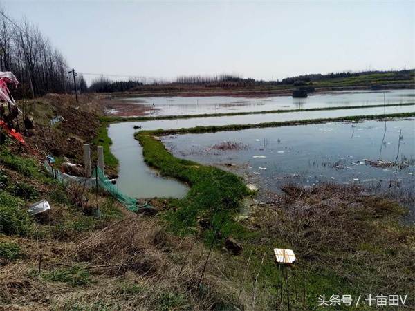 实用捕鱼小妙招,学会如何进行捕鱼