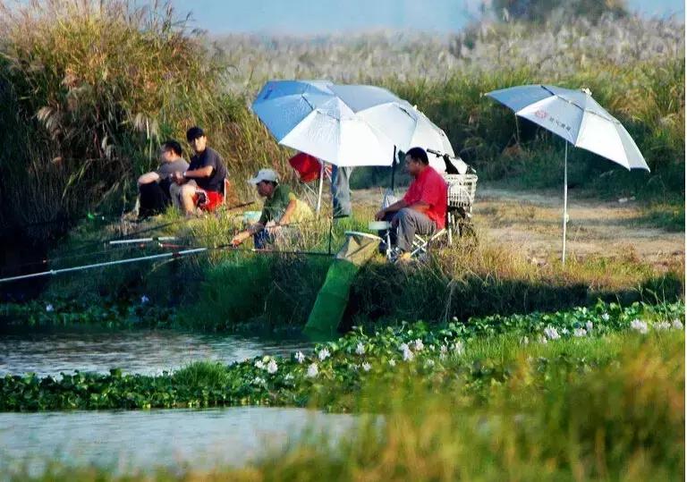 武汉野炊地点推荐,武汉周边烧烤野炊好去处