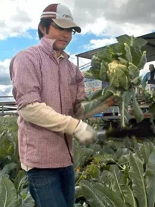 澳洲旅游攻略必带物品清单,澳洲旅游攻略需要花费多少钱