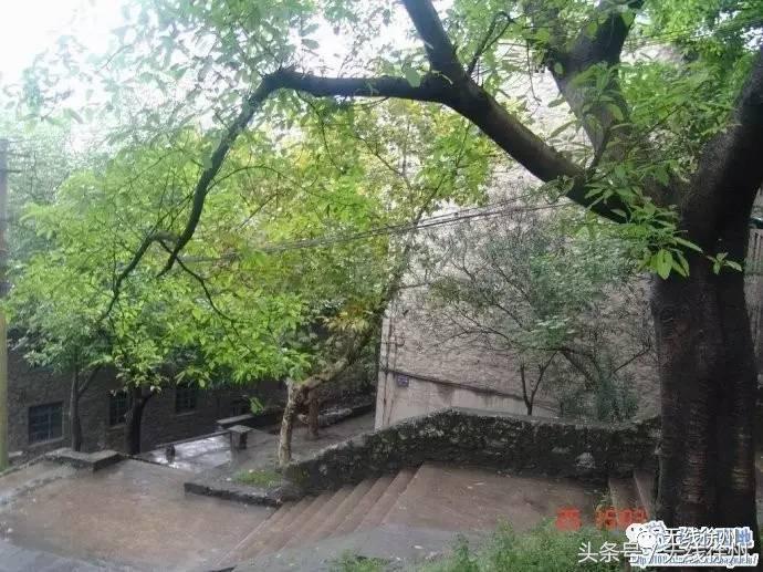 三民街的石板路,名校往事,老政府大院的1924,看徐州这条路