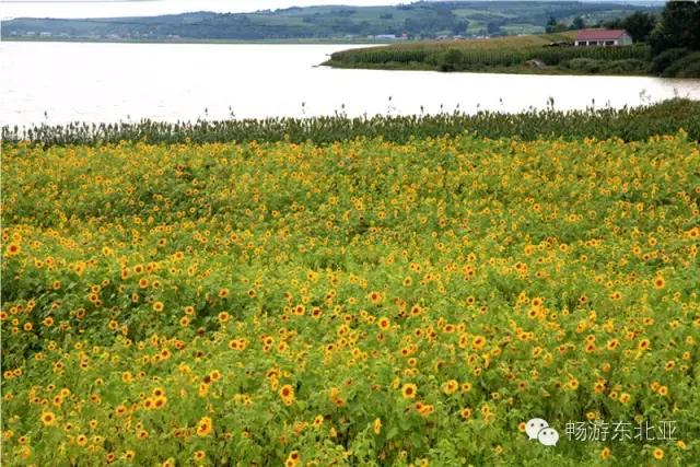 大辽源美景,大辽源视频