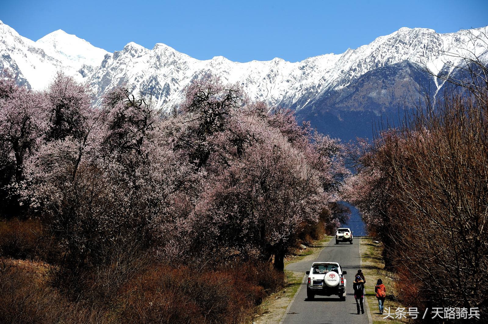 3月去318川藏线危险吗,318川藏线自驾3月可以去吗