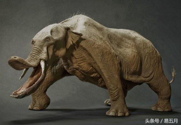 史前象科:大家伙们成为了早期人类的肉类仓库