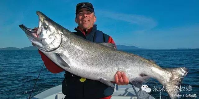 dha到底要不要补糖,哪种dha给孩子吃最好