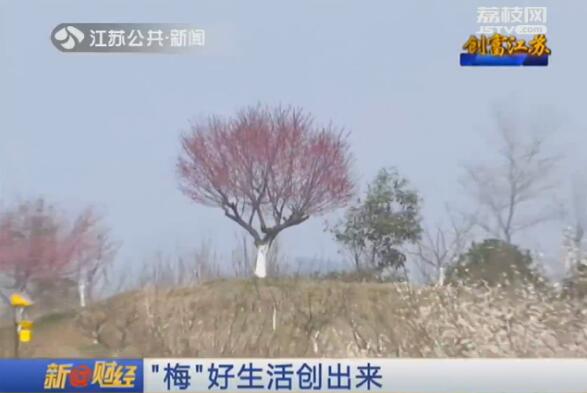 创富江苏：“梅”好生活创出来