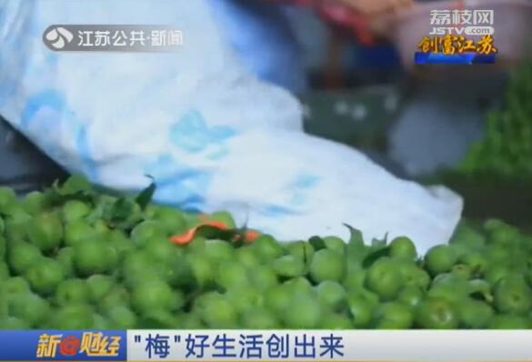 创富江苏：“梅”好生活创出来