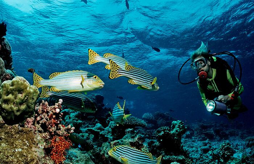 萨芙莉岛值不值得去,萨芙莉岛攻略