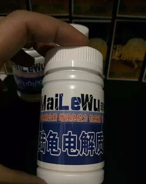 陆龟为什么不喜欢爬箱,陆龟为什么不好养活