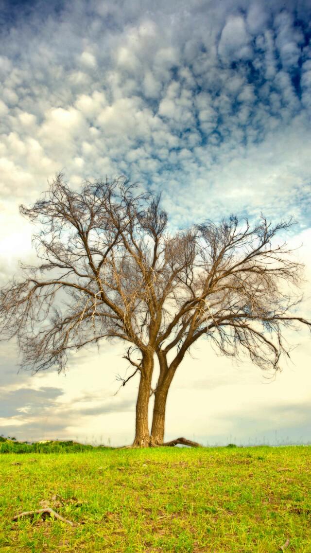 iphone高清壁纸4k全屏唯美,100张各种高清精美手机壁纸欣赏