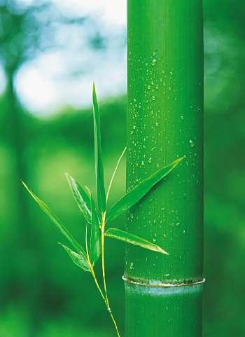 iphone高清壁纸4k全屏唯美,100张各种高清精美手机壁纸欣赏