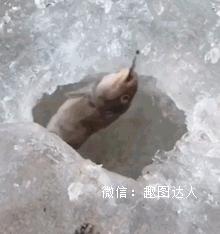 立体空调高端,360度全方位立体环绕空调