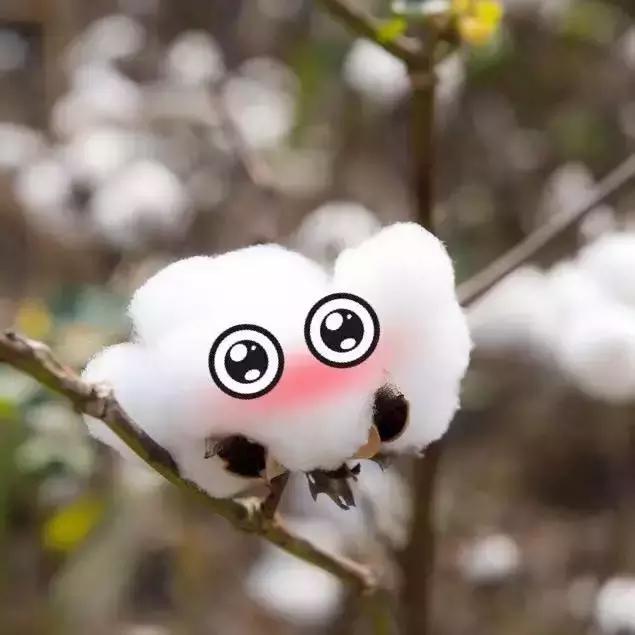 床上那些事|50块和5000块的差别真有那么大?