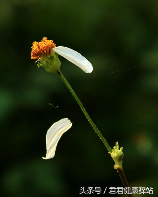 冷水洗头对身体有什么危害,冷水洗衣服对身体会有伤害吗