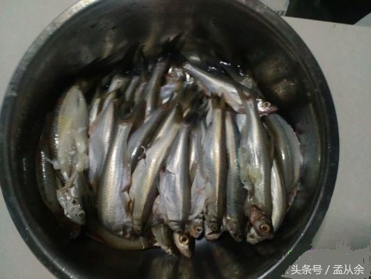 下酒必备鱼,下酒好菜谱100例