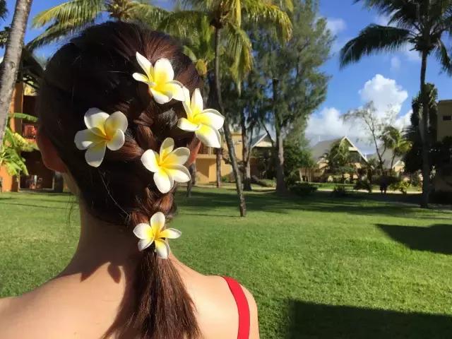 毛里求斯，拿水壶换保时捷的天堂