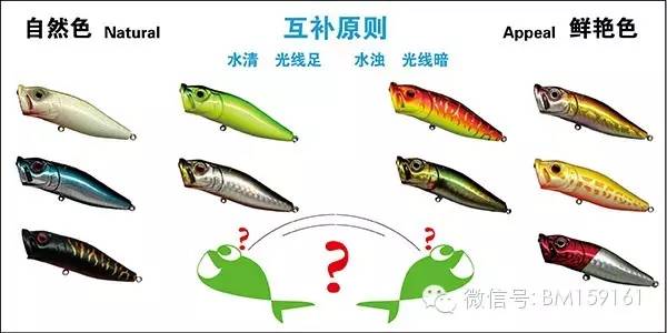 路亚教学口诀,经典路亚新手入门教程