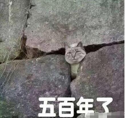 韩国街头毛衣,韩系黑色毛衣