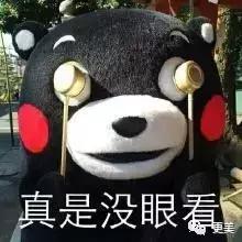 撞脸雪莉pk掉娜扎热巴成女主,如今却沦为恐怖片里的贞子