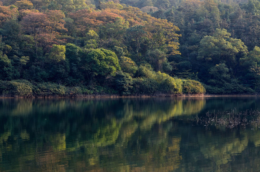谭咏麟广东新会哪里的,谭咏麟故乡梦粤语