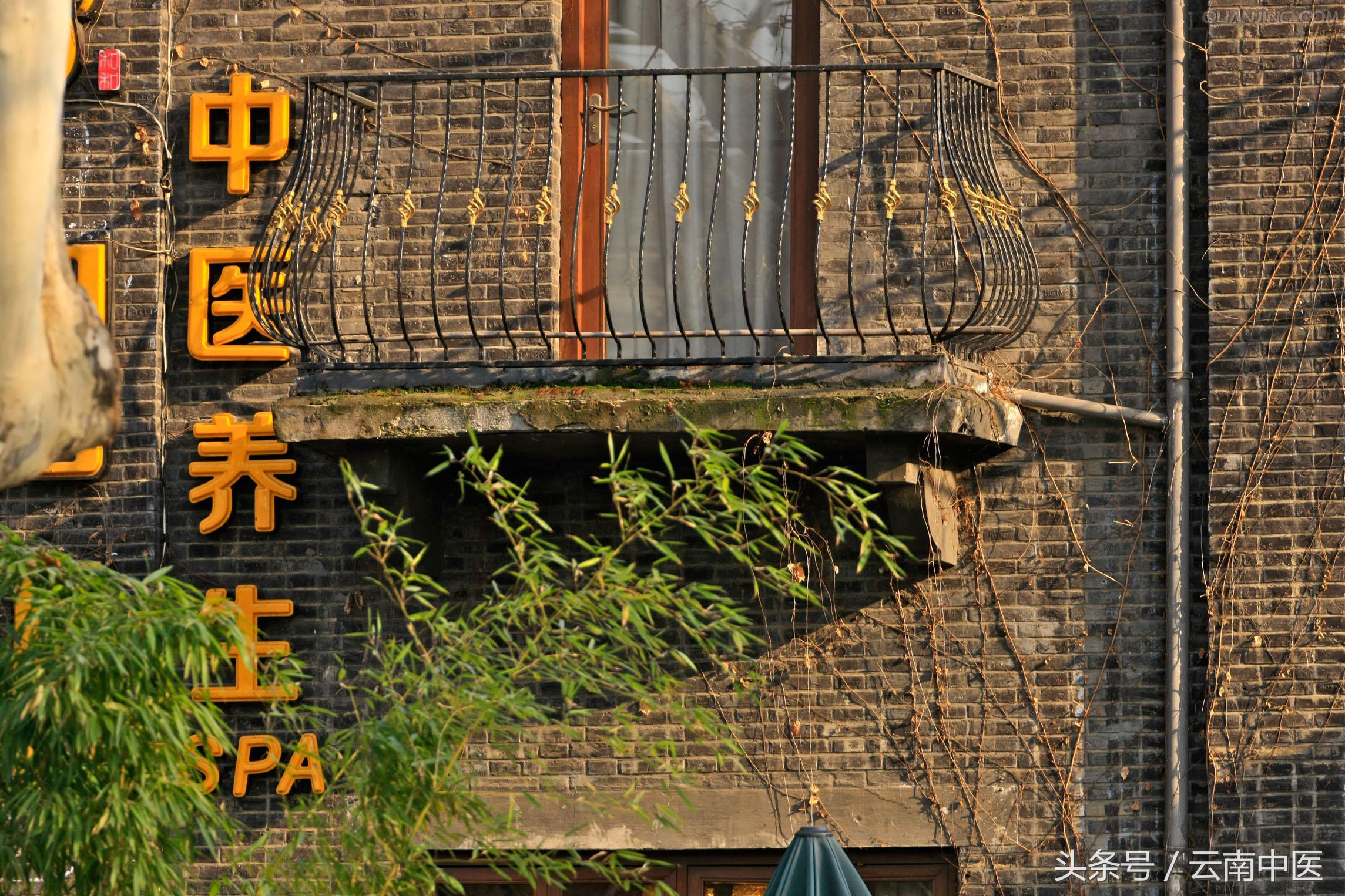 国医裘沛然,裘沛然医术