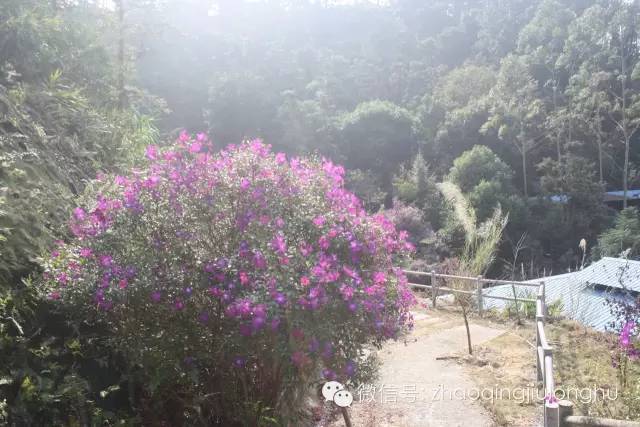 国庆期间花果山属猴的免门票吗,属猴的去花果山要门票吗