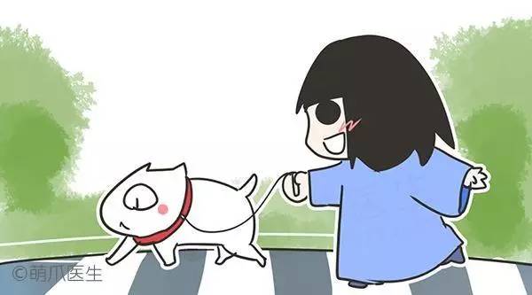 狗狗的爪子怎么训练,新狗狗如何在家检查