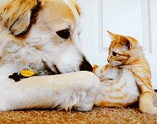 感情脆弱的心理原因,感情中很脆弱的人是怎么样的