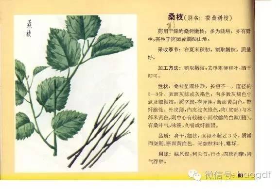 鲜为人知的延年益寿秘方,老中医的高寿秘诀