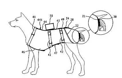 小区很多野狗,小区到处都是狗粑粑谁来管